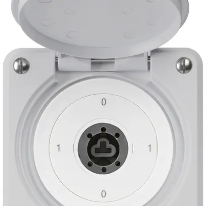 Interruttore a chiave INC robusto IP55 con copertura senza cilindro S0/1P grigio 