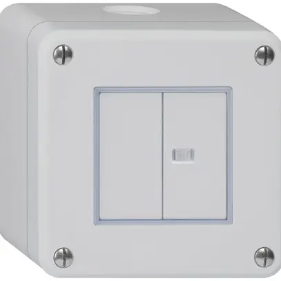 AP-Drucktaster robusto IP55 2×1P grau 1×beleuchtet 