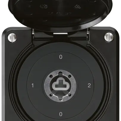 Interruttore a chiave INC robusto IP55 con copertura senza cilindro S2/1P nero 