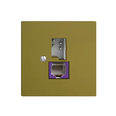 Presa T+T 6P/1×RJ45 DSL-a banda larga EDIZIOdue olive 