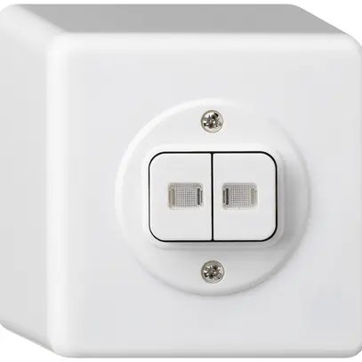 Contact à poussoir lumineux AP basico 2×AR/1L blanc 