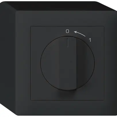 Contatto rotativo AP 0<1/1L nero kallysto con manopola 
