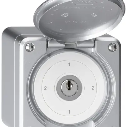 Interruttore a chiave con copertura AP robusto IP55 S3/1P alluminio 