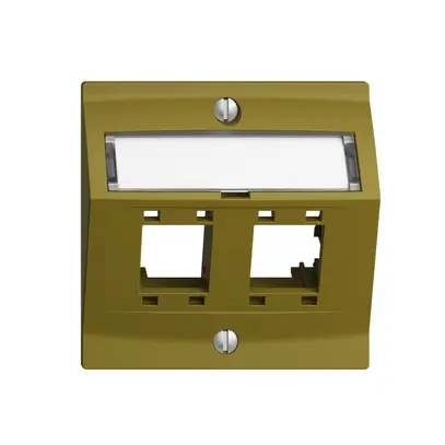 Kit montaggio EDIZIOdue, con cappa di uscita obliqua, per 2×RJ45, olive 