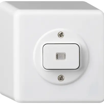 Pulsante luminoso AP basico AR/1L bianco 