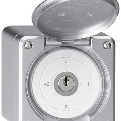 Interruttore a chiave con copertura AP robusto IP55 S1/1P alluminio 