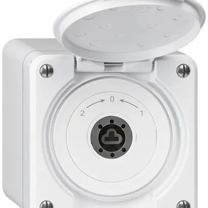 Contact pivotant à clé AP robusto IP55 blanc avec clapet sans cylindre inverseur 