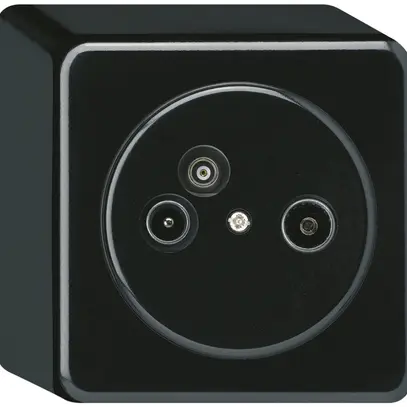 Presa d'antenna AP TV-R-Dati basico 2GHz 11db nero 