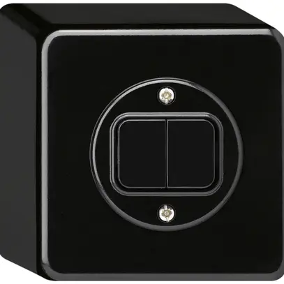 Pulsante AP basico 2×AR/1L nero 
