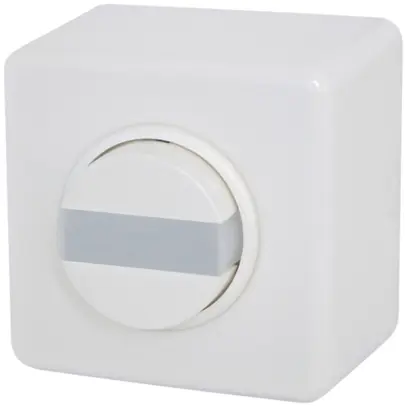 Interrupteur KNX AP Luxomat IS AP DX, design STANDARD blanc 