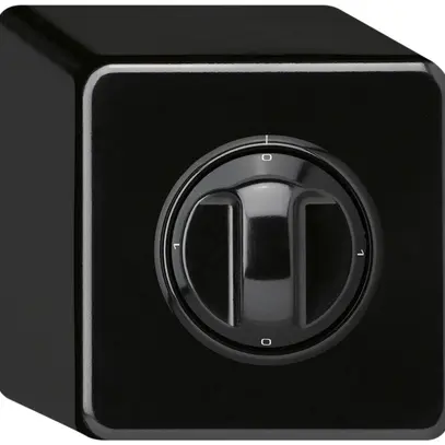 Interruttore rotativo AP basico 1/1L nero con manopola 