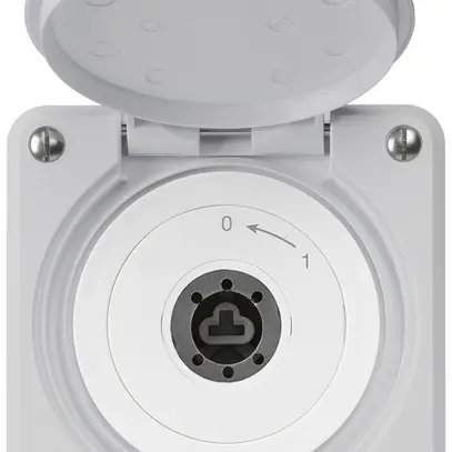 Contatto rotativo a chiave INC robusto IP55 grigio c.coperchio senza cilindro 1P 
