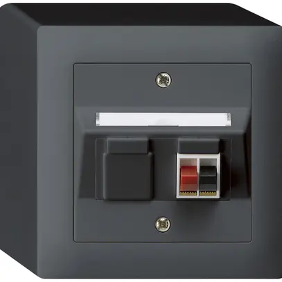 AP-Audiodose kallysto 1×anthrazit Klemmanschluss für 1 LS 