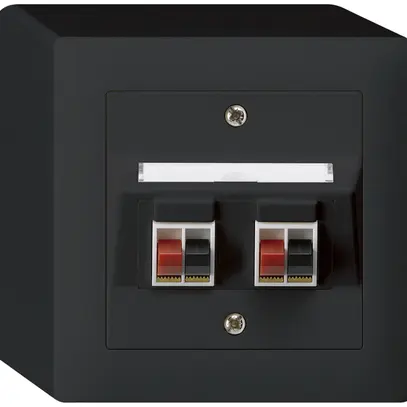 AP-Audiodose kallysto 2×schwarz Klemmanschluss für 2 LS 