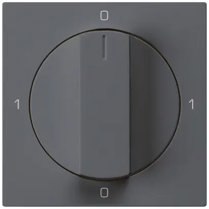 Einsatz zu Drehschalter kallysto 0/3L anthrazit mit Drehgriff 