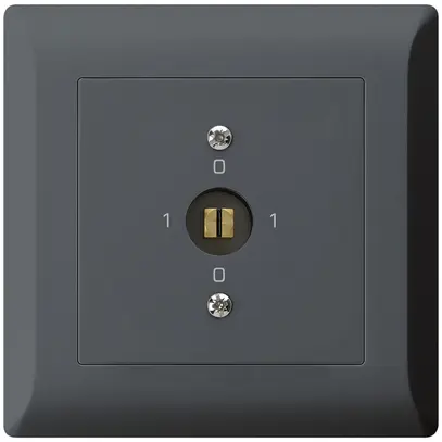 UP-Steckschlüsselschalter kallysto.line 0/1L anthrazit 