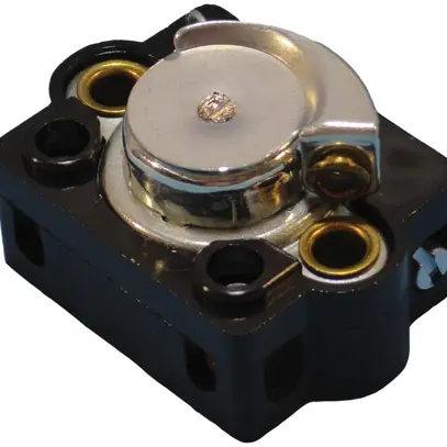 Interrupteur à tirage INC ELBRO 2A/250V 1/1L, sans cordon de tirage, noir 