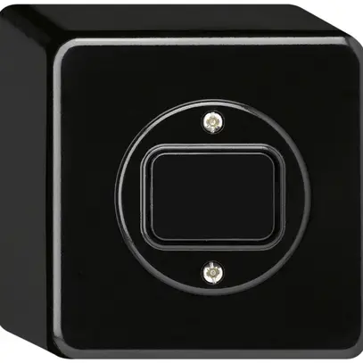 Interruttore AP basico 3/1L nero 