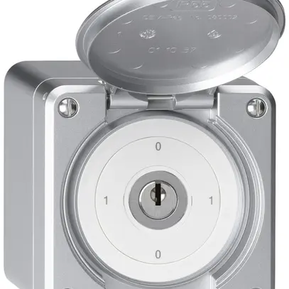 Interruttore a chiave AP robusto IP55 con copertura S0/1P alluminio 