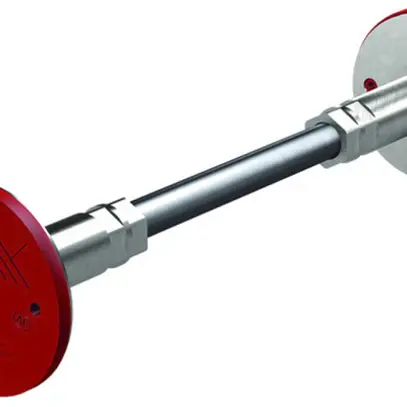 Erdungsdurchführung Flury FE 26, Inox A4, L=250mm 