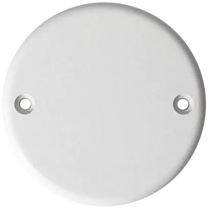 Rosace MAX HAURI GDP 850°C Ø79.2×21mm blanc 