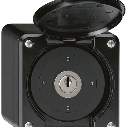 Interruttore a chiave AP robusto IP55 con copertura S0/2P nero 