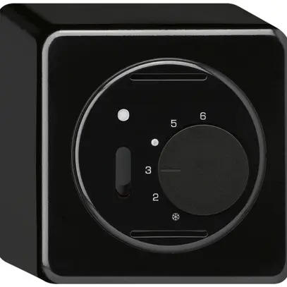 Thermostat d'ambiance AP BASICO noir avec interrupteur 