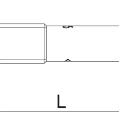 Bullone di ancoraggio BET BZ M12×255mm (160mm) acciaio 