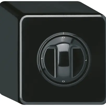 Interruttore rotativo AP basico 2/1L 0-A-0-M nero con manopola 