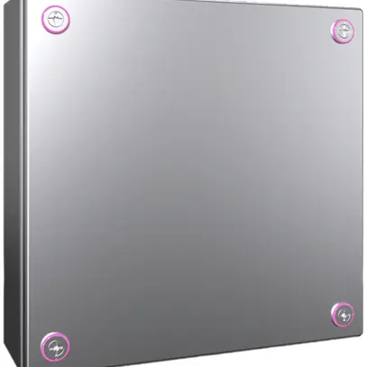 Piccola scatola Rittal KX Derivazione, IP66, 300×300×120mm, acciao pregiato V2A 