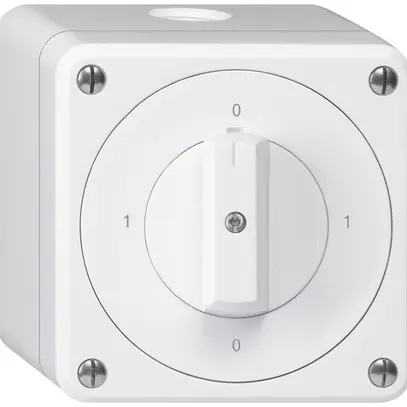 Interruttore rotativo AP robusto IP55 schema 0/2P bianco 