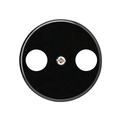 Frontscheibe basico TV/R schwarz 