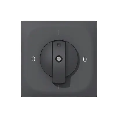 Interruttore rotativo INC SIDUS E 0/3L antracite 
