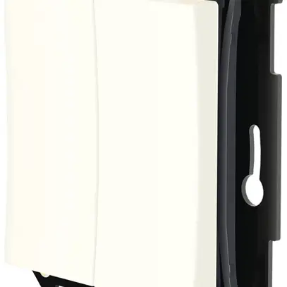 Poussoir RF AP/ENC Plejd WPH-01-55W double Bluetooth pour cadre 55mm bc 