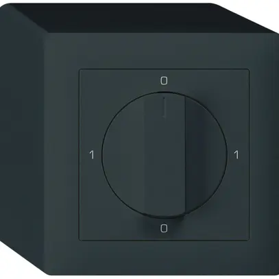 Interruttore rotativo AP kallysto 2/1L nero 0-A-0-H con manopola 