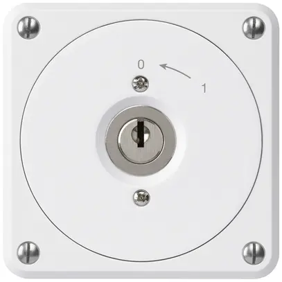 UP-Schlüsselschwenktaster robusto weiss ohne Deckel 2P für Kombination 