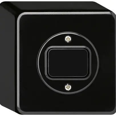 Interrupteur AP basico 6/1L noir 