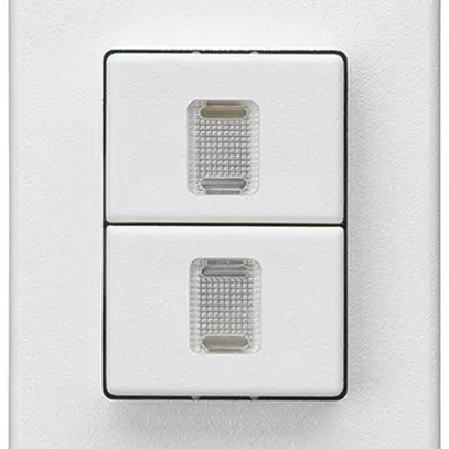 Interrupteur à poussoir double INC Hager FLF 10A/250V 1/1L illuminé blanc 