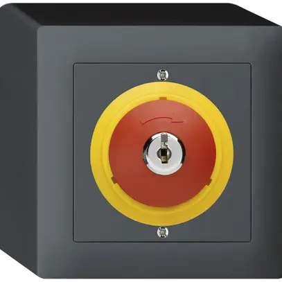 Contatto rota.c.chiave AP kallysto ARRESTO DI EMERGENZA antracite 