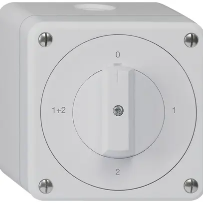 Interrupteur rotatif AP robusto IP55 schéma 1/1P gris 