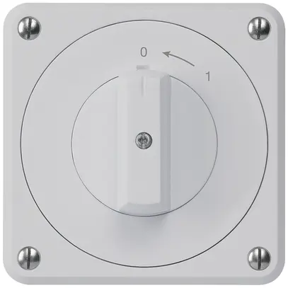 Contatto rotativo INC robusto IP55 grigio 2P 