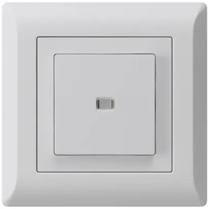 UP-Leuchttaster kallysto.line ARK 2L hellgrau 