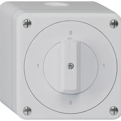 Interrupteur rotatif AP robusto IP55 schéma 0/1P gris 