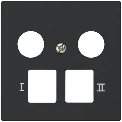 Placca frontale kallysto per R&M HWS nero 2 fori multimedia 