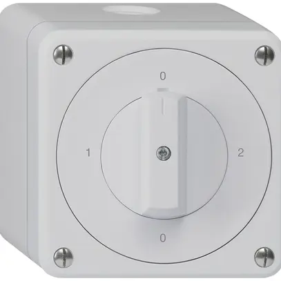 AP-Drehschalter robusto IP55 Schema 2/1P grau 