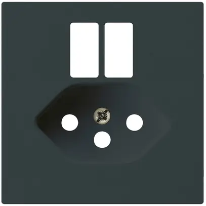 Plaque frontale kallysto pour prise 2×USB & T13 noir 