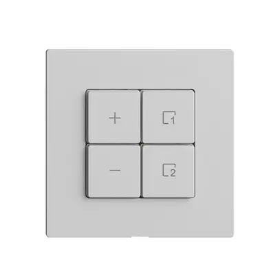 Stazione secondaria 1K/4T per dimmer scena Edue Wiser grigio chiaro 