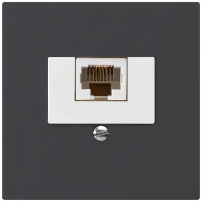 Insert pour prise de raccordement kallysto 1×RJ45u noir 