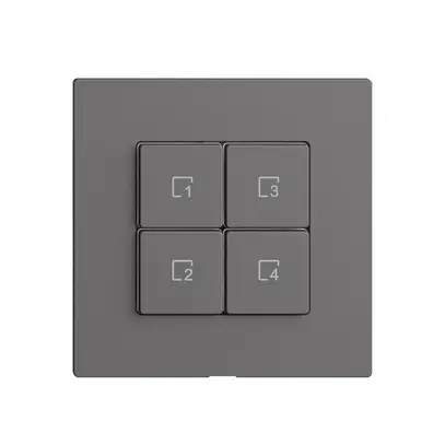 Comando per pulsante scena 4 scene/4T Edue Wiser grigio scuro 