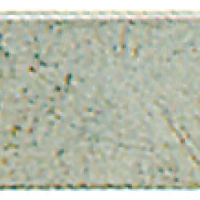 Connexion transversale Weidmüller WQL 2 WFF120 vissé 2L pas 42mm 269A gris 